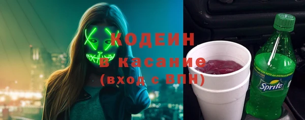 индика Зеленокумск