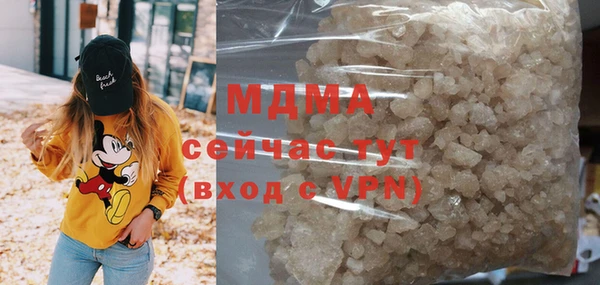 индика Зеленокумск