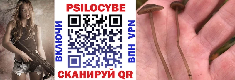 Псилоцибиновые грибы мухоморы  MEGA маркетплейс  Тейково  купить наркотики сайты 